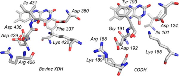 Figure 36