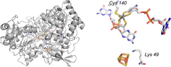 Figure 52