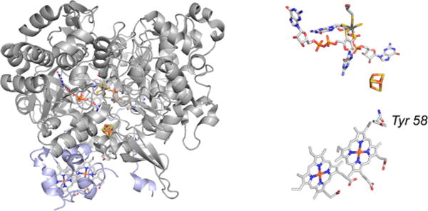 Figure 54