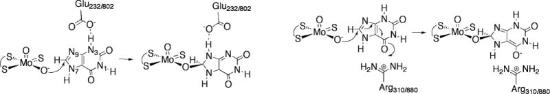 Figure 24