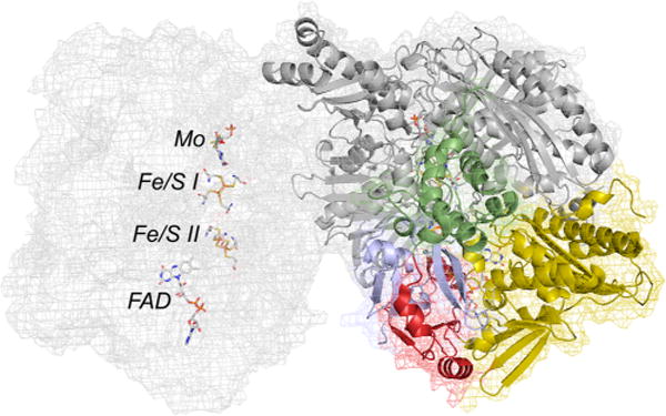 Figure 21