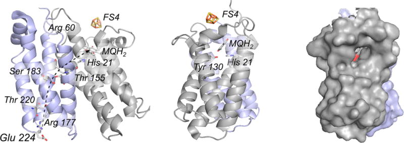 Figure 46