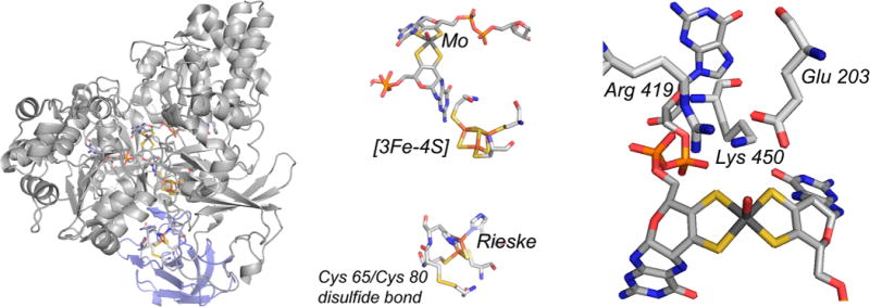 Figure 56