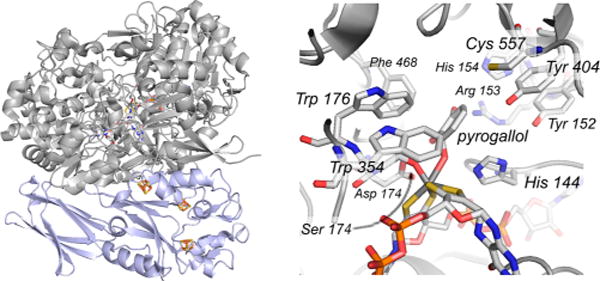 Figure 59