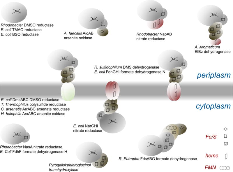 Figure 42