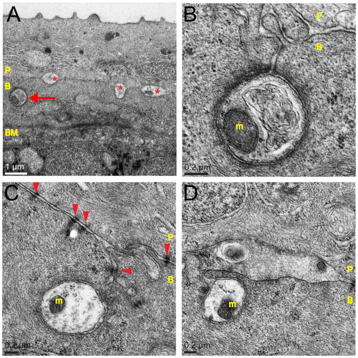 Figure 6