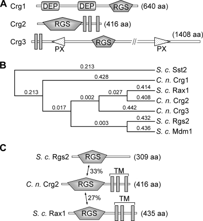 FIG. 1.