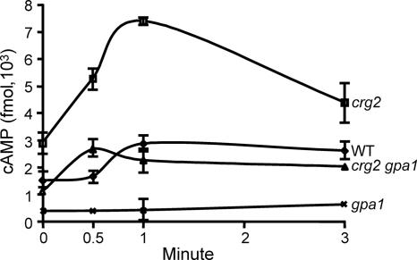 FIG. 5.