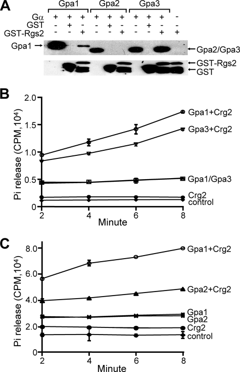 FIG. 6.