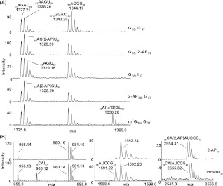 FIGURE 4.