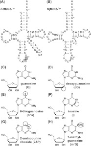 FIGURE 1.