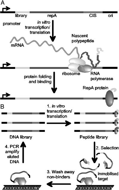 Fig. 1.