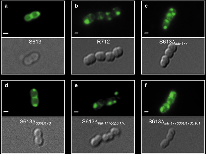 FIG 3 