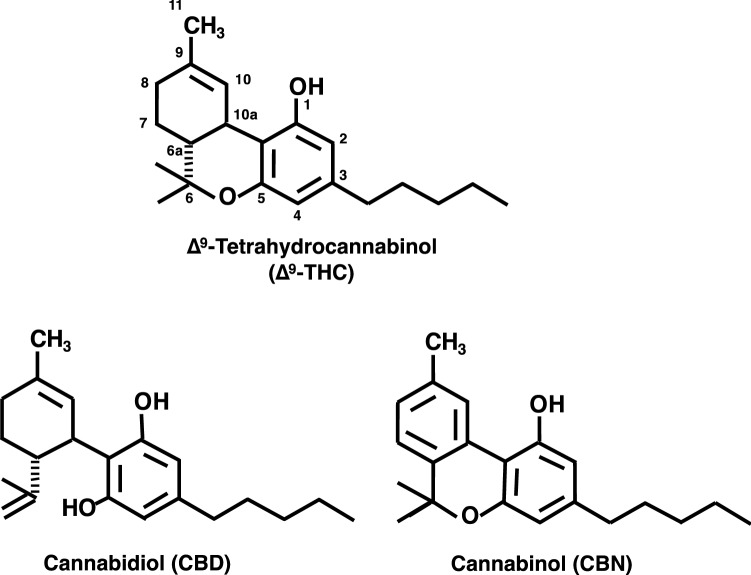 Fig. 1