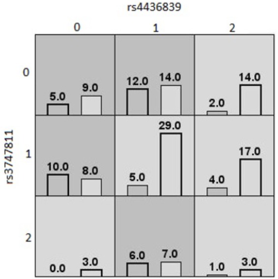 FIGURE 3