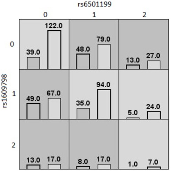 FIGURE 1