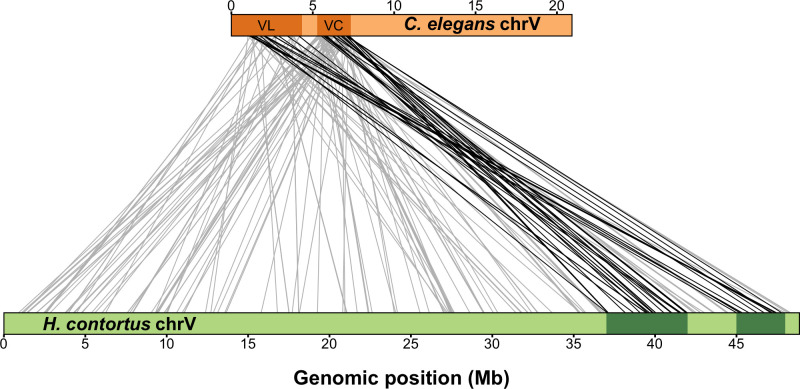 Fig 5