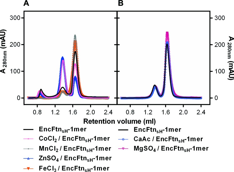 Figure 3—figure supplement 1.