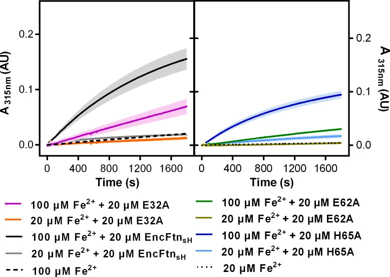 Figure 12—figure supplement 1.