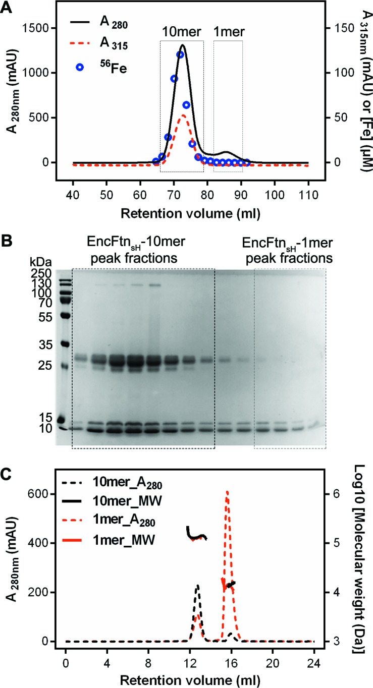 Figure 2.