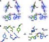 Figure 11—figure supplement 1.