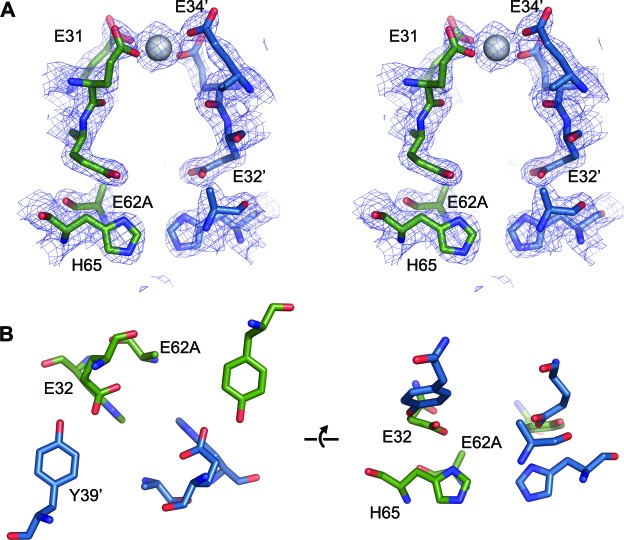 Figure 11—figure supplement 2.