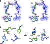Figure 11—figure supplement 2.