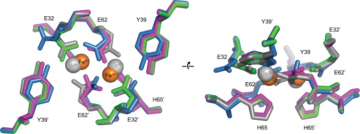 Figure 11.