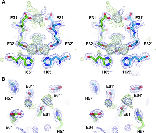 Figure 5—figure supplement 1.