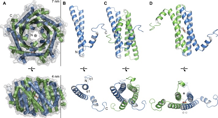 Figure 4.