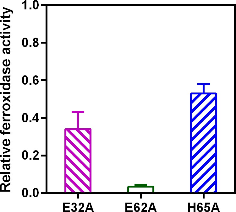 Figure 12.