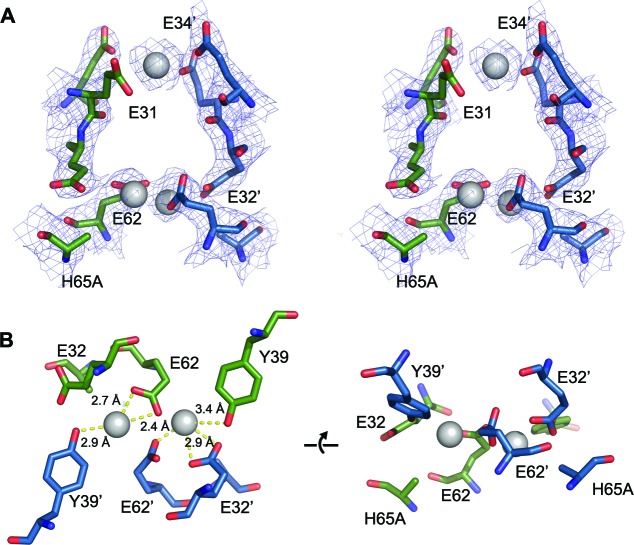 Figure 11—figure supplement 3.