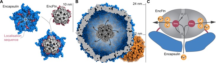 Figure 14.