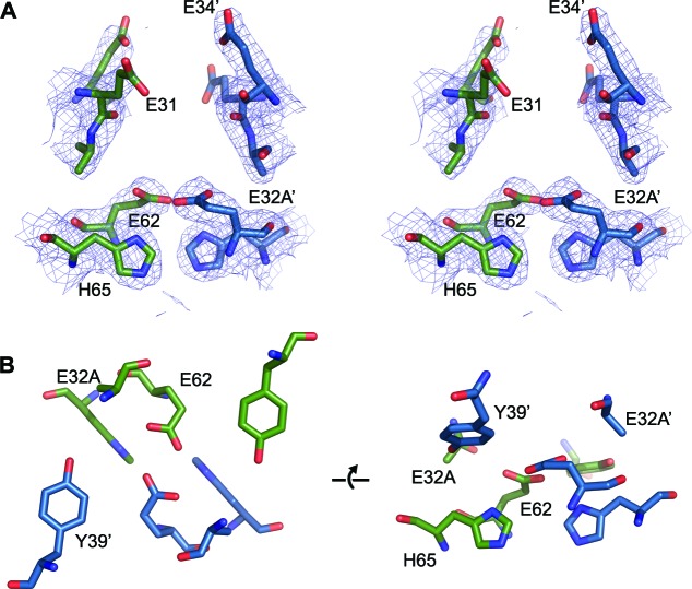 Figure 11—figure supplement 1.