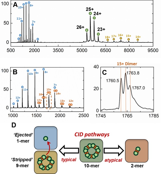 Figure 7—figure supplement 2.