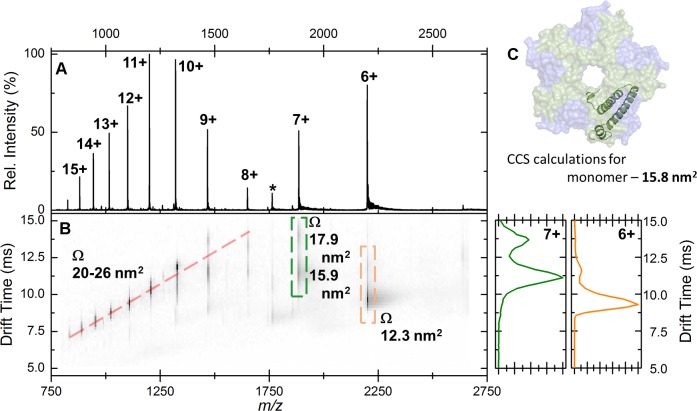 Figure 7—figure supplement 1.