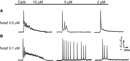 Fig. 2