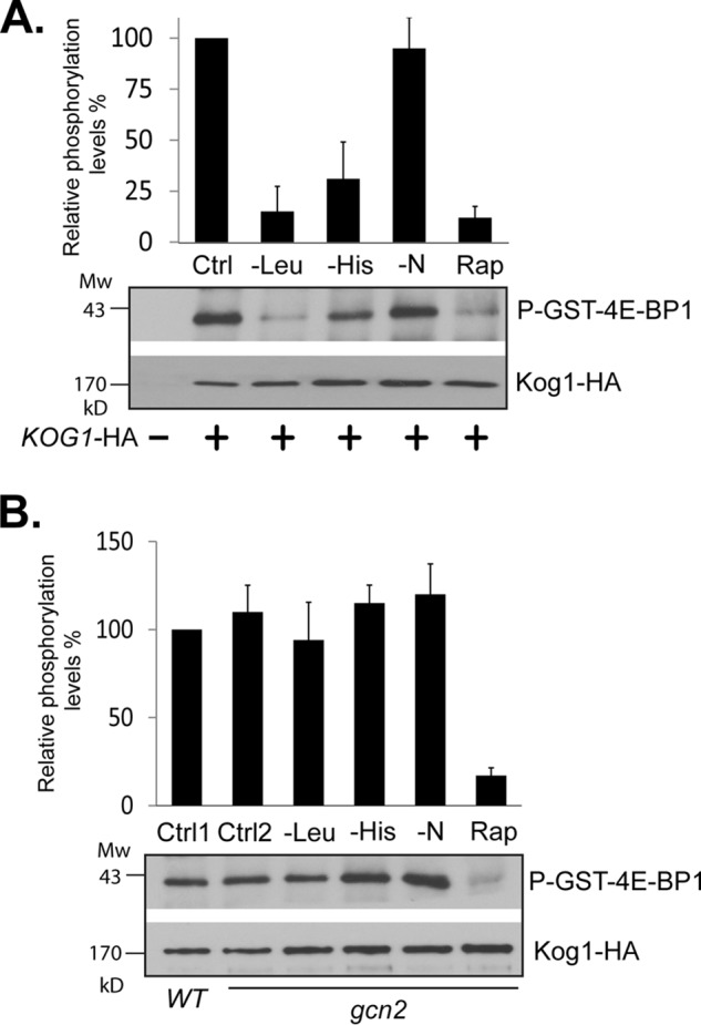 FIGURE 5.