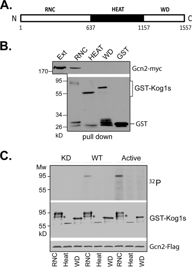 FIGURE 7.