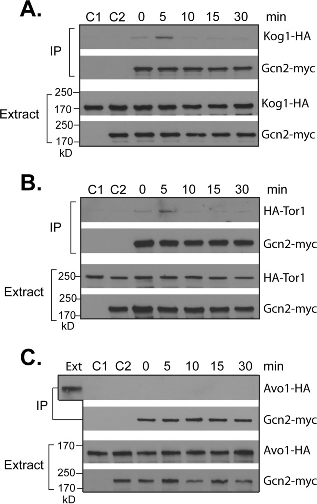 FIGURE 6.