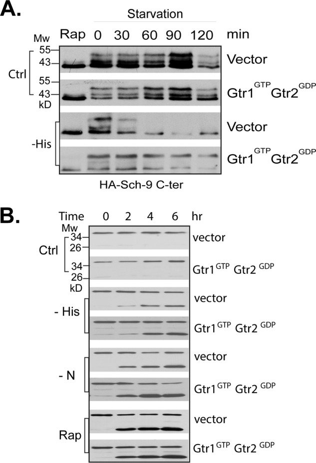 FIGURE 4.