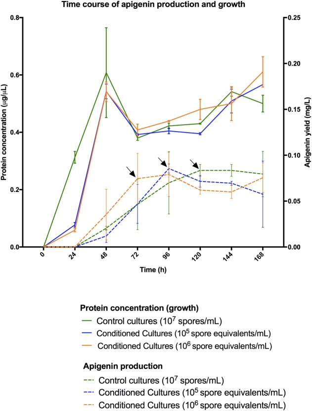 FIGURE 4