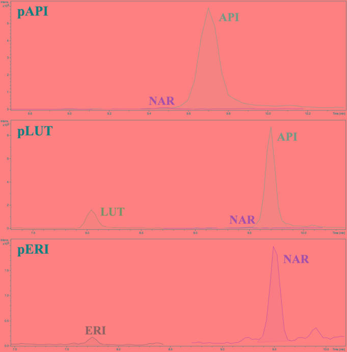 FIGURE 2