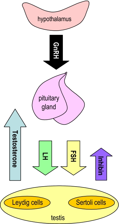 Fig. 1