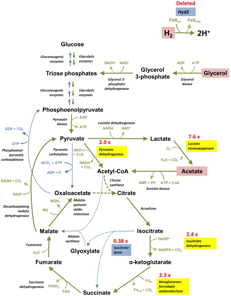 Figure 5