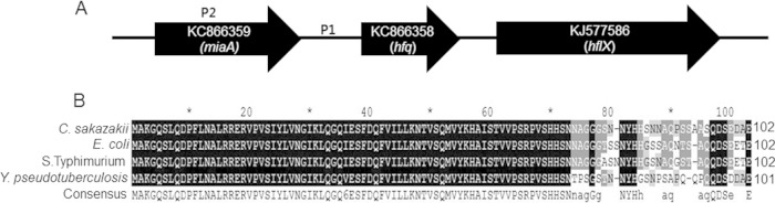 FIG 1