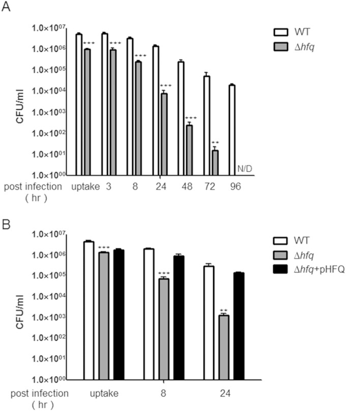 FIG 6