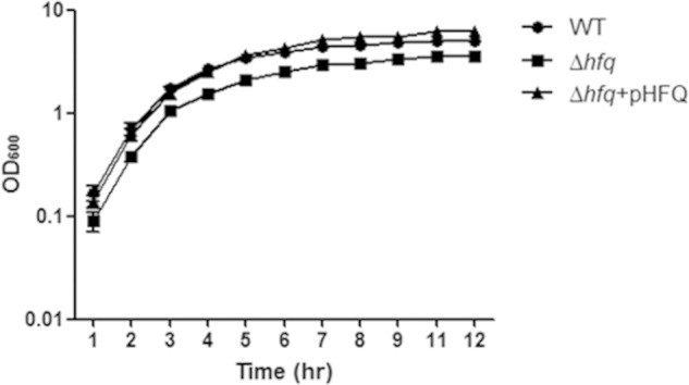 FIG 2