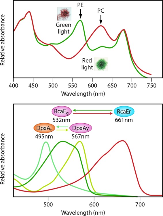 FIG 1 