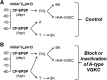 Figure 10.